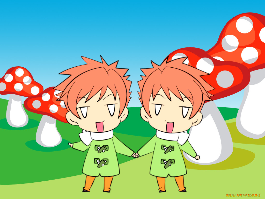 , ouran, high, school, host, club